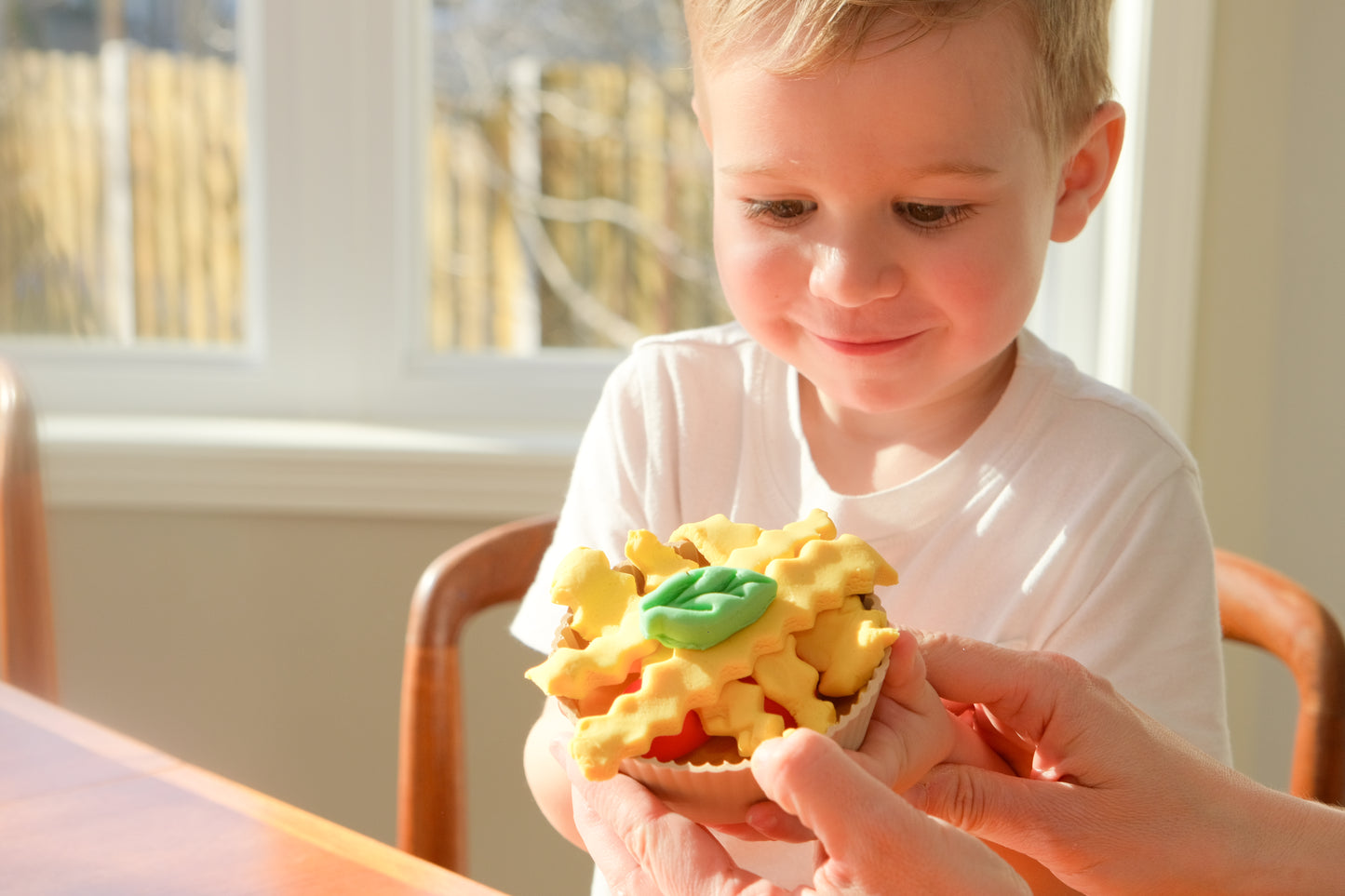 Patience Kit (includes book)